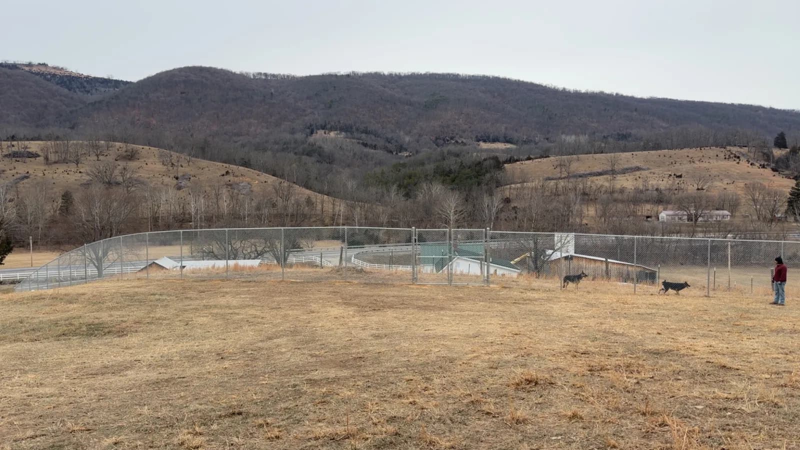 Long chain-link perimeter fence crossing a hillside