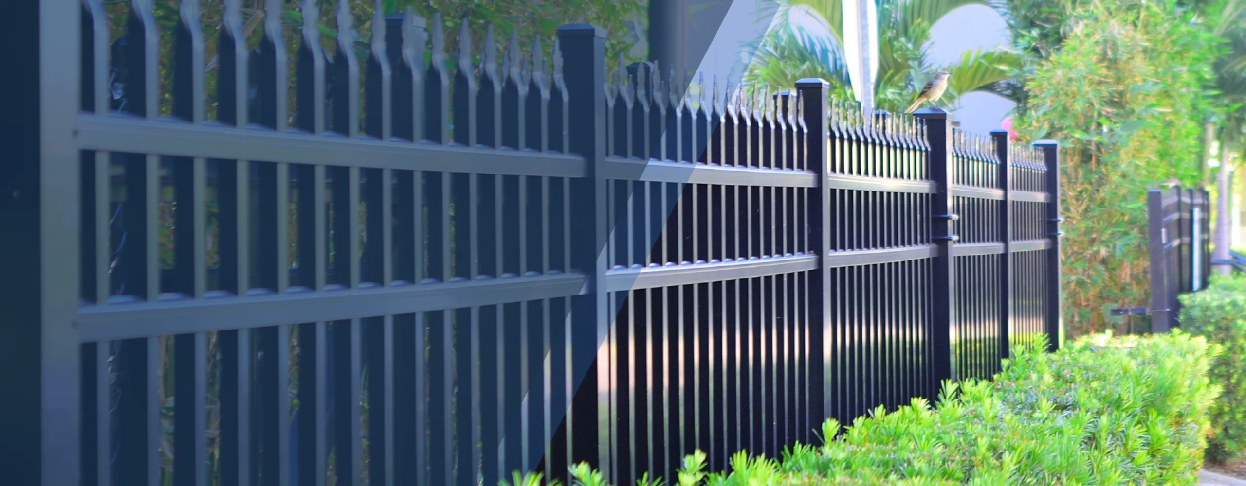 Tree Services Augusta, WV | Allied Fence & Deck, LLC