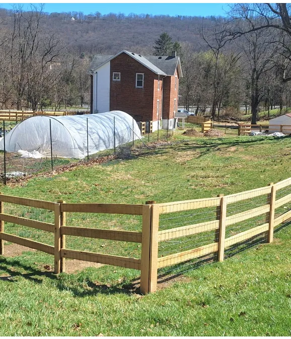 Image Content Slider Frame 7