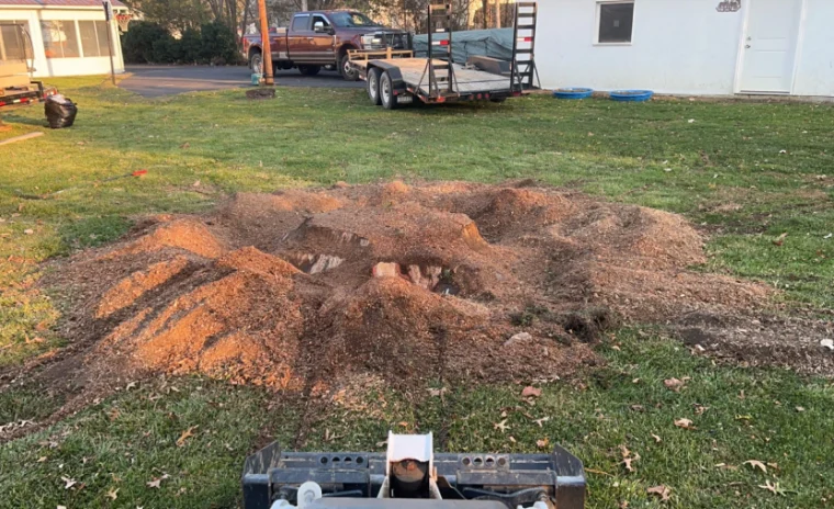gallery land clearing 7
